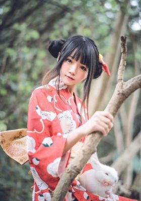 中国刑侦一号案26集全免费