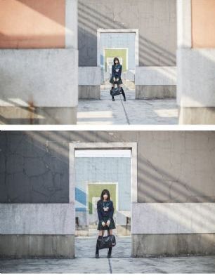 一日钟情